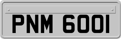 PNM6001