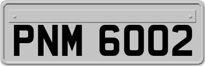 PNM6002