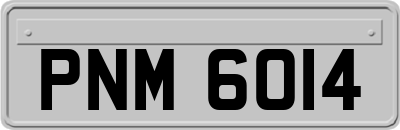 PNM6014