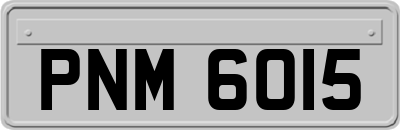 PNM6015