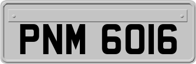 PNM6016