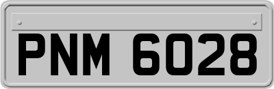 PNM6028