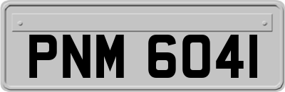 PNM6041
