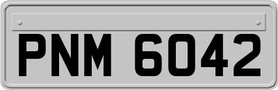 PNM6042