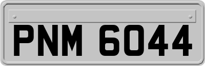 PNM6044