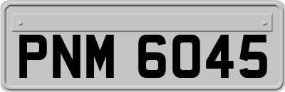 PNM6045