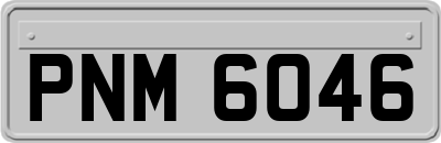 PNM6046