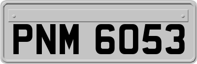 PNM6053
