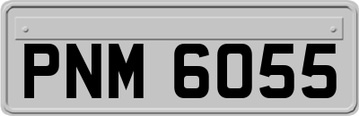 PNM6055