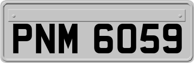 PNM6059