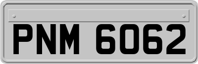 PNM6062