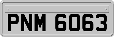 PNM6063