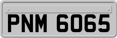 PNM6065