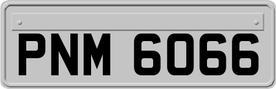 PNM6066