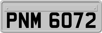 PNM6072