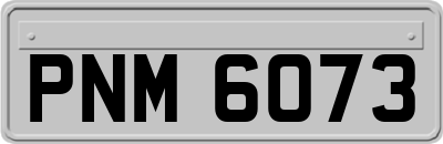 PNM6073