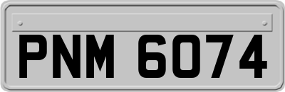 PNM6074