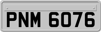 PNM6076