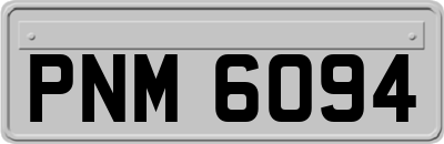PNM6094