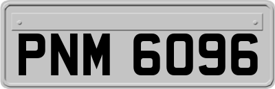 PNM6096
