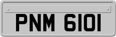 PNM6101