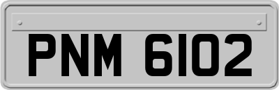 PNM6102