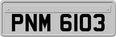 PNM6103