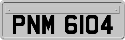 PNM6104