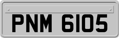PNM6105