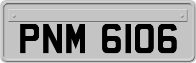 PNM6106