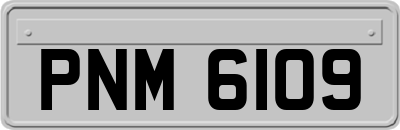PNM6109