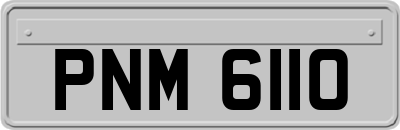 PNM6110