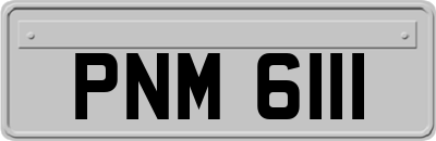 PNM6111