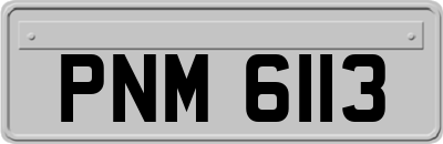 PNM6113