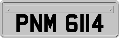 PNM6114