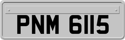 PNM6115