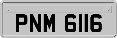 PNM6116