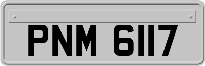 PNM6117