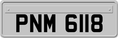 PNM6118