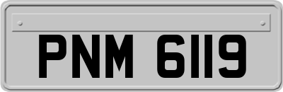 PNM6119