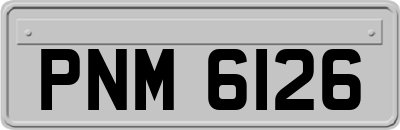 PNM6126