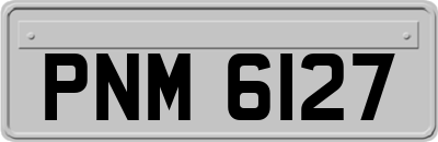 PNM6127