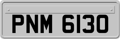 PNM6130