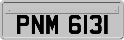 PNM6131