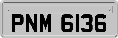 PNM6136