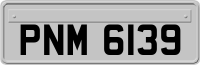 PNM6139