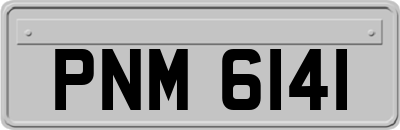 PNM6141