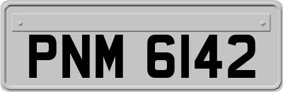 PNM6142