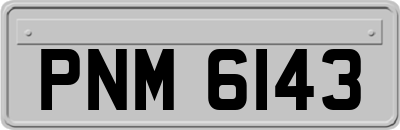 PNM6143