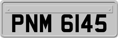 PNM6145